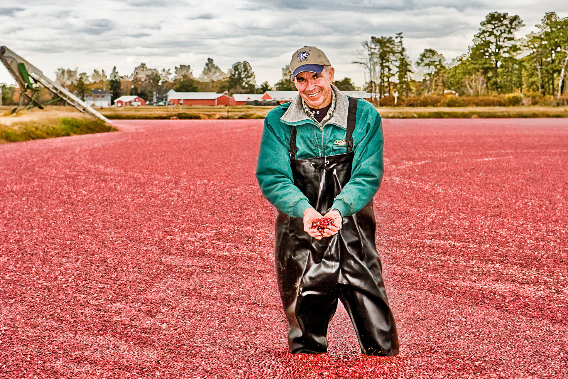 Tulsa Photographer in New Jersey Cranberry bog